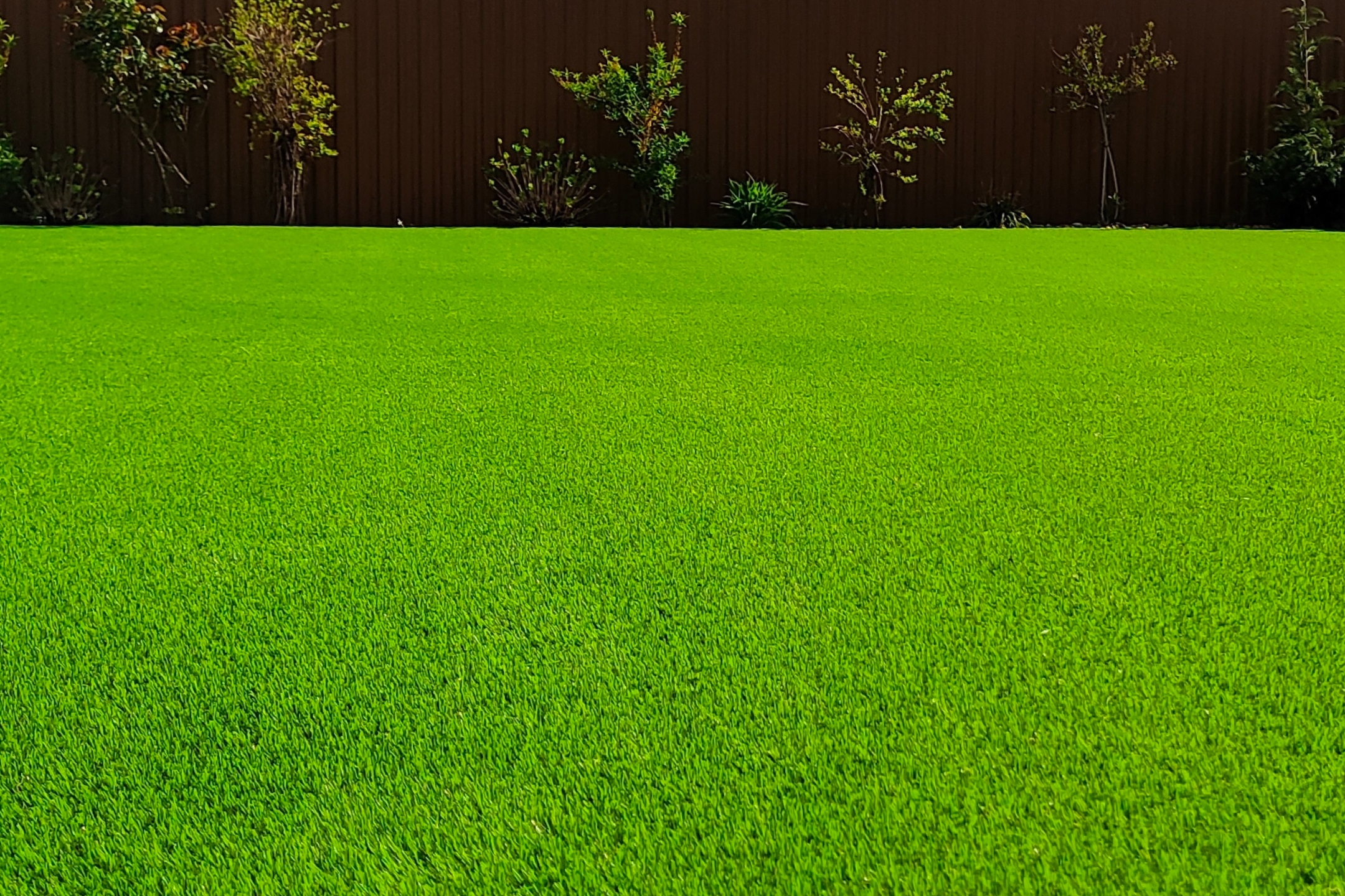 active-wise-mufu-01 Wise - Image 1