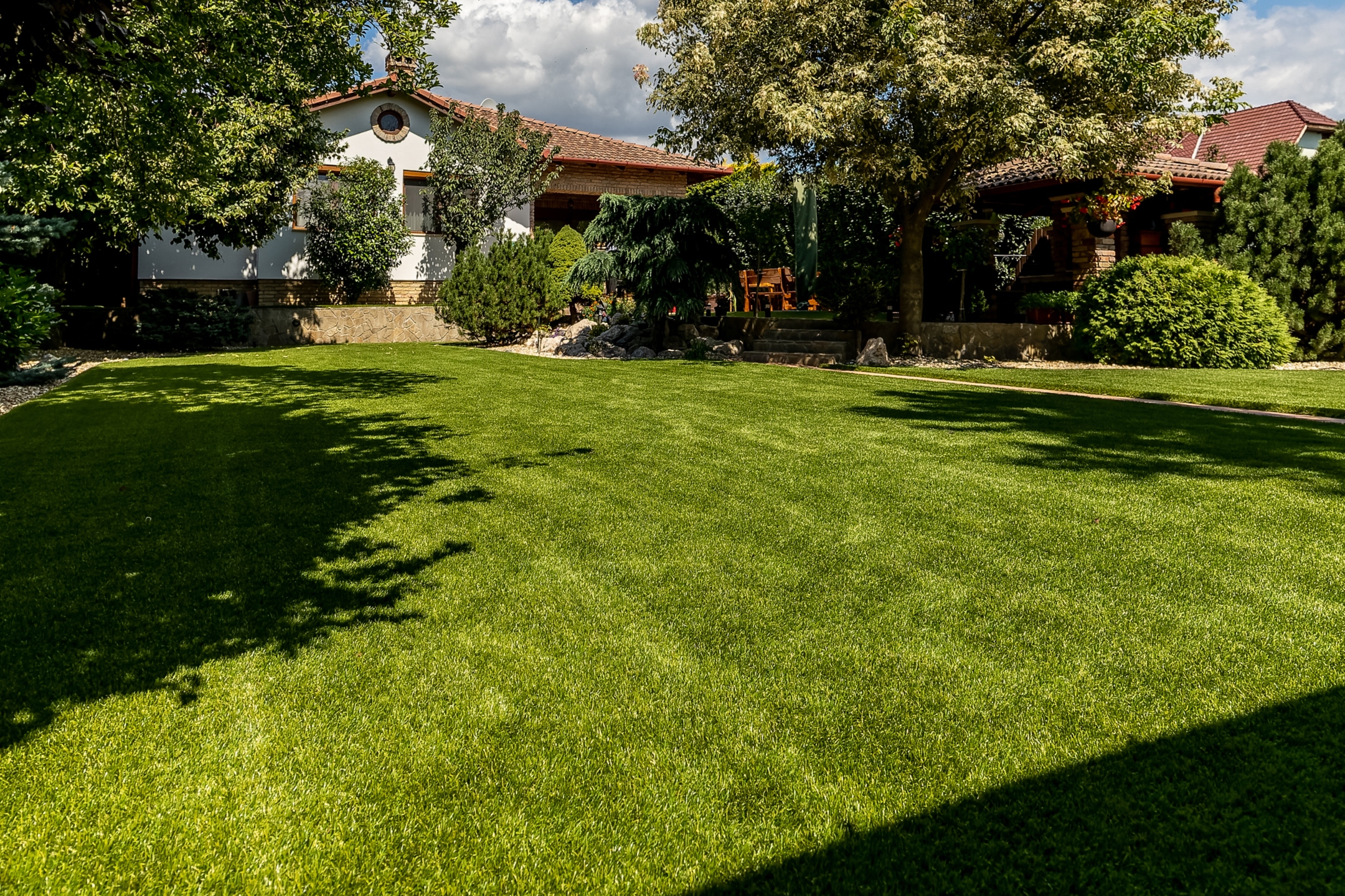 soft-Intense42-mufu-01 Extravert Dark - Image 1